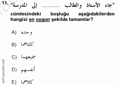 Soru 11