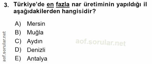Soru 3