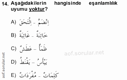 Soru 14