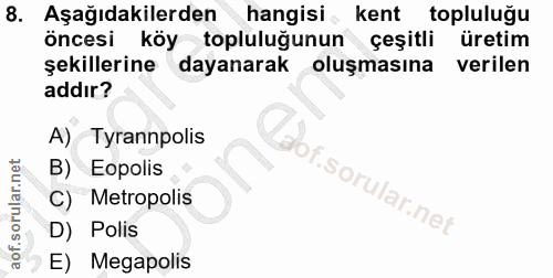 Soru 8
