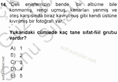 Soru 14