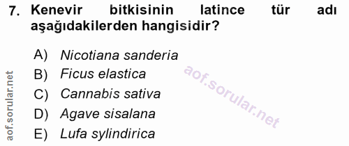 Soru 7