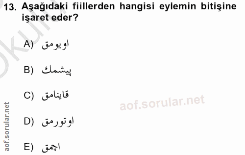 Soru 13