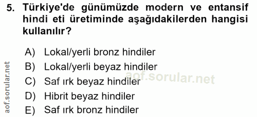 Soru 5