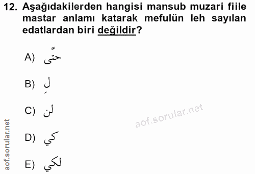 Soru 12