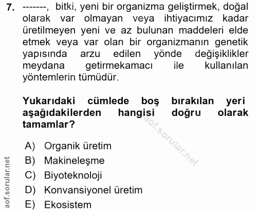 Soru 7