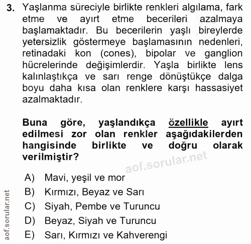 Soru 3