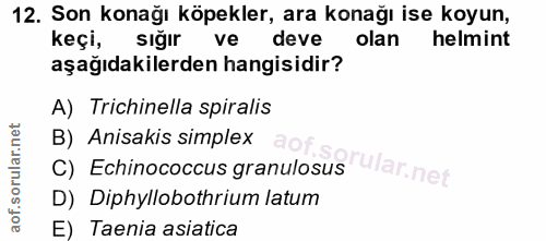 Soru 12