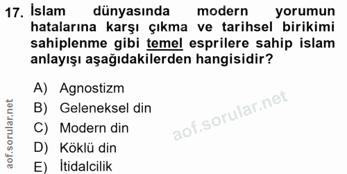 Soru 17