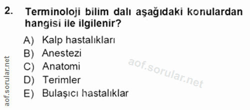 Soru 2