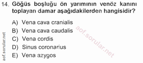 Soru 14