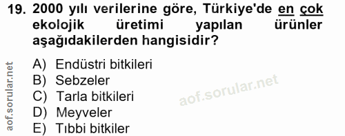 Soru 19