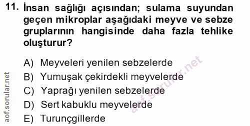 Soru 11