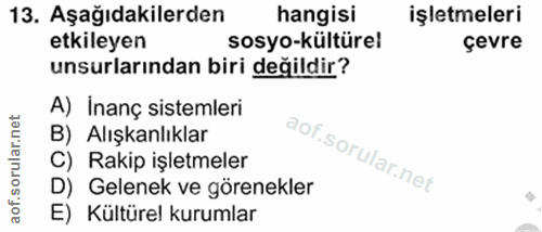 Soru 13