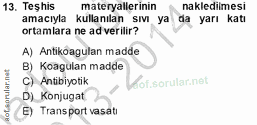 Soru 13