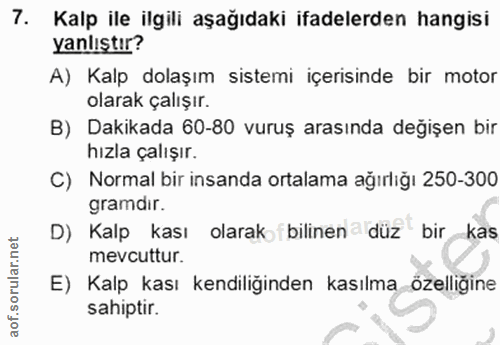 Soru 7
