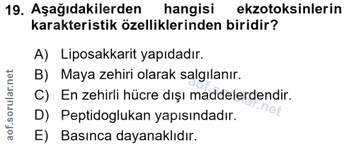 Soru 19