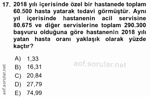 Soru 17