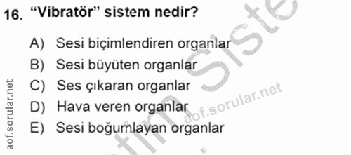 Soru 16