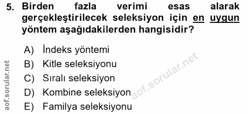 Soru 5