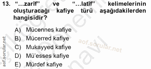 Soru 13