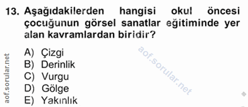 Soru 13