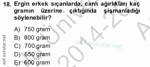 Soru 18