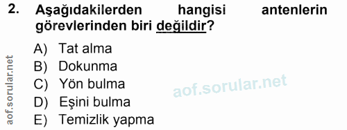 Soru 2