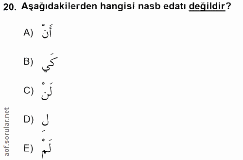 Soru 20