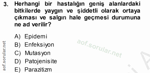 Soru 3