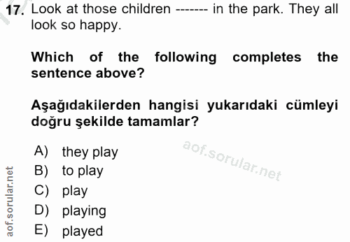Soru 17