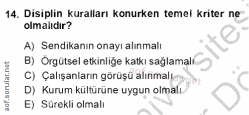 Soru 14