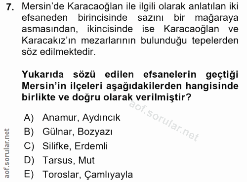 Soru 7