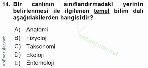 Soru 14