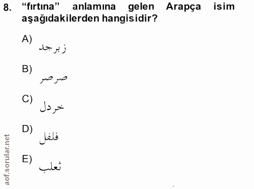 Soru 8