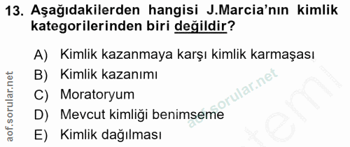 Soru 13