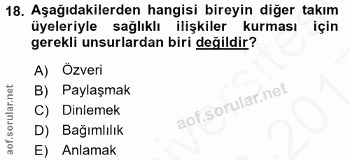 Soru 18