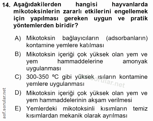 Soru 14