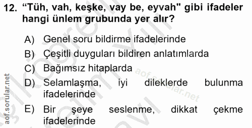 Soru 12