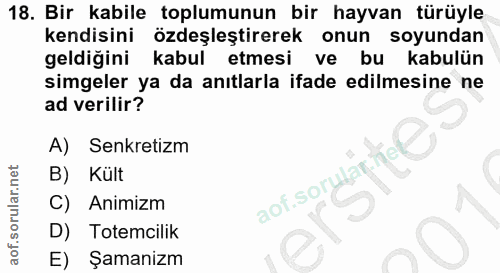 Soru 18