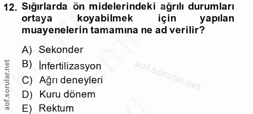 Soru 12