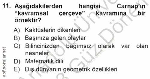 Soru 11