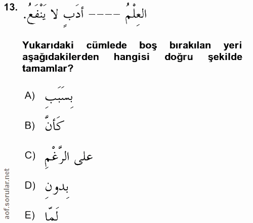 Soru 13