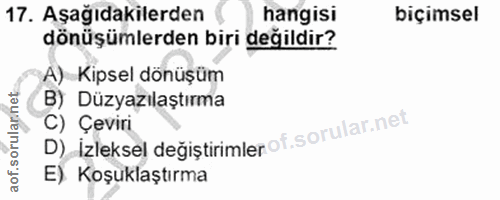 Soru 17