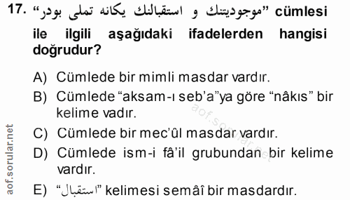 Soru 17