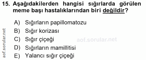 Soru 15