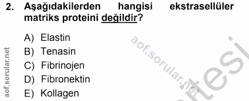 Soru 2