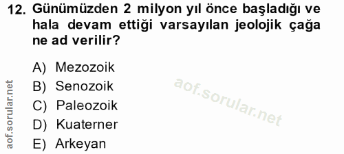 Soru 12