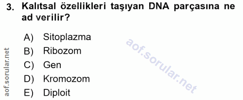 Soru 3