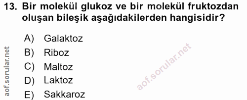 Soru 13